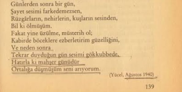 • tweet media
