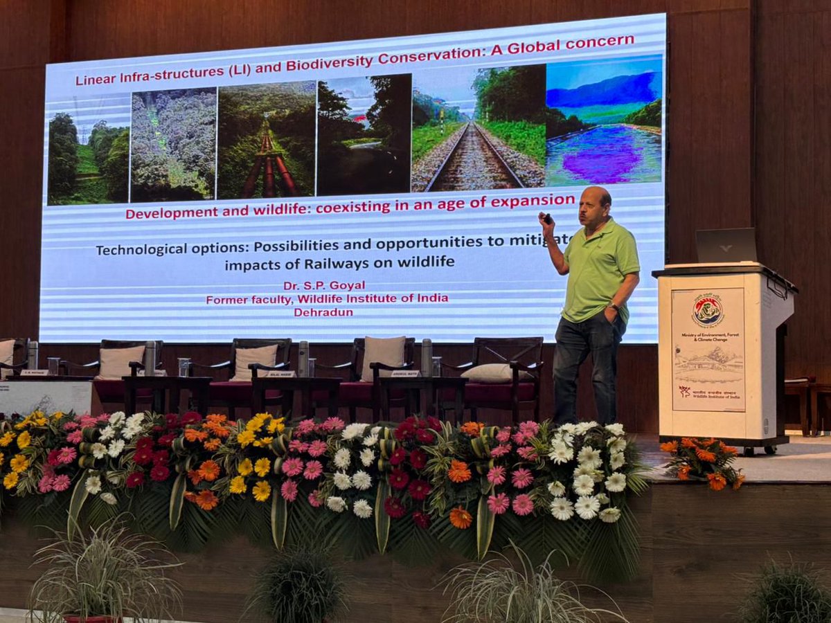 Wildlife Institute of India tweet media