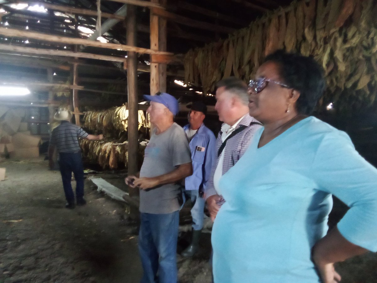 Anelys Ramírez González tweet media