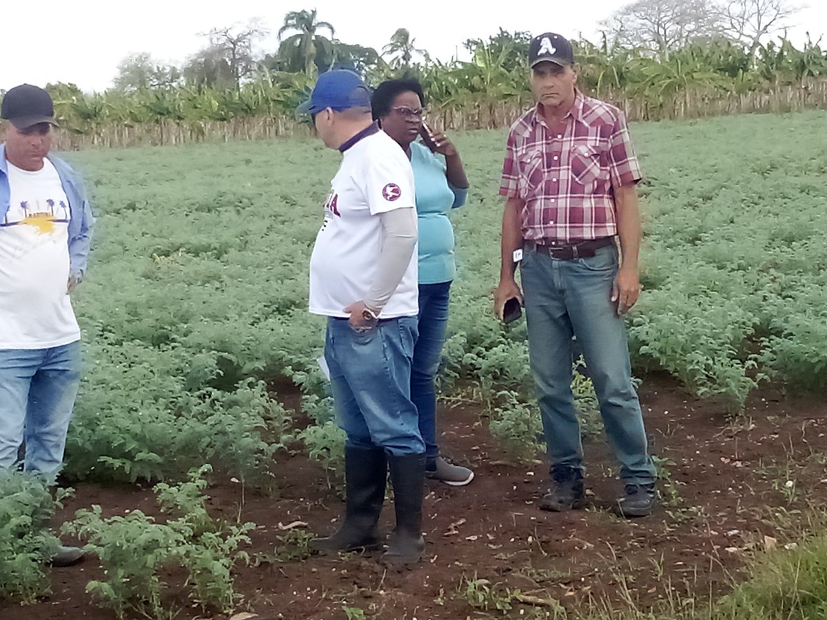 Anelys Ramírez González tweet media