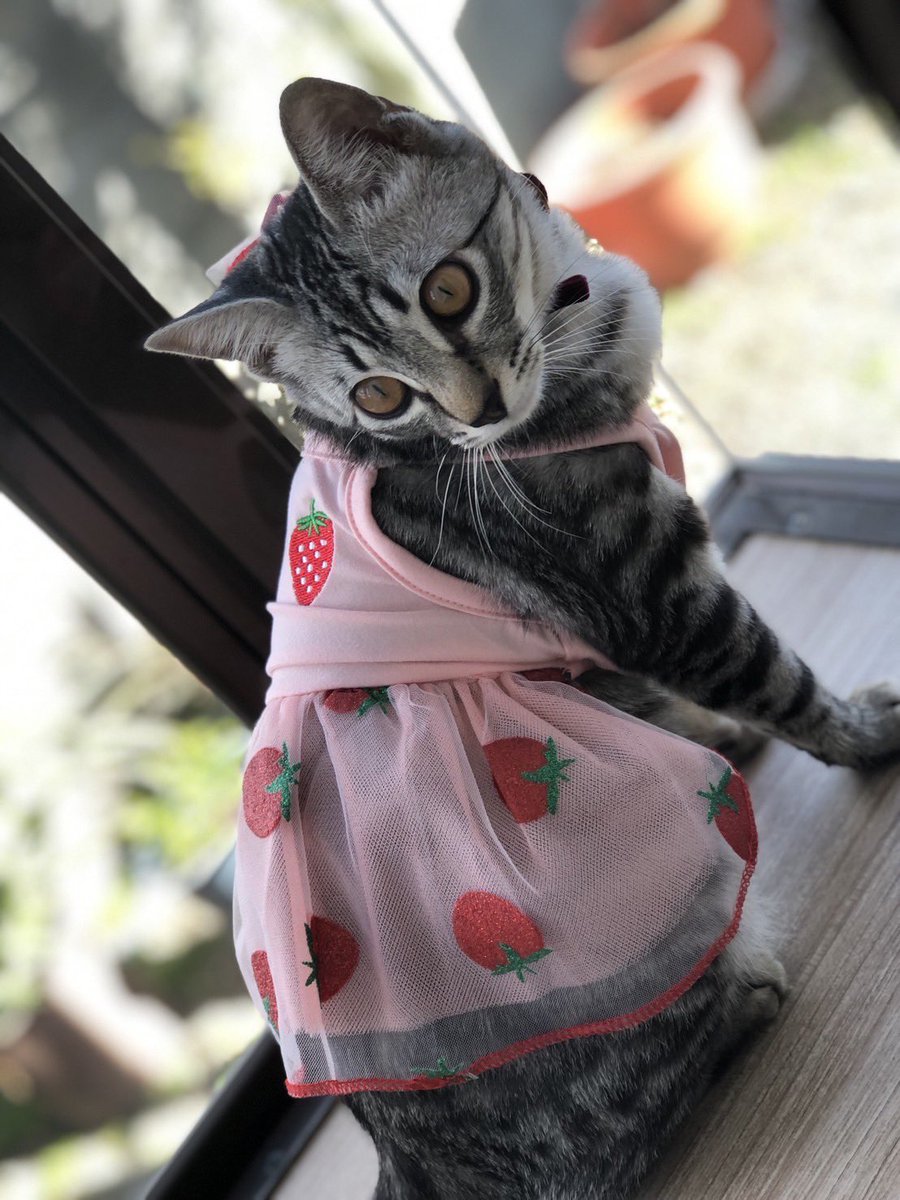 天使が舞い降りました👼