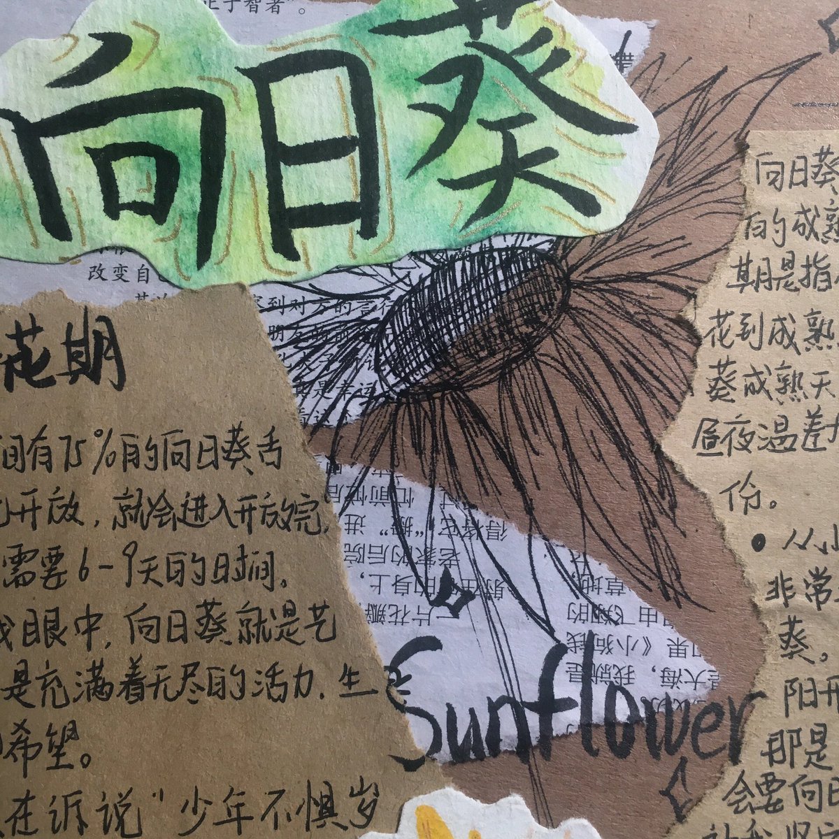 Tiago Simas Sousa tweet media