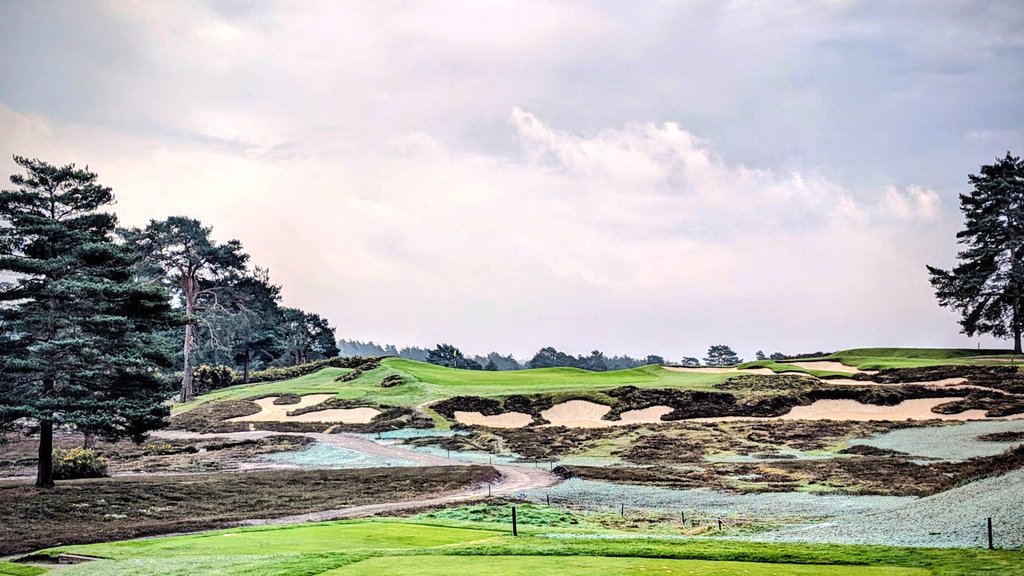 Simon Haines tweet media