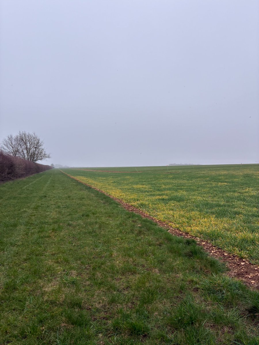 maddierivettiag's tweet photo. Yesterday, I revisited the @Elsomsseeds trial site in Cranwell. It was great to see the progress since my first visit in January. Very interesting to hear about all the varieties as well.🌱🌾

#agriculture #farming #wheat #barley https://t.co/DkNMnTlC08