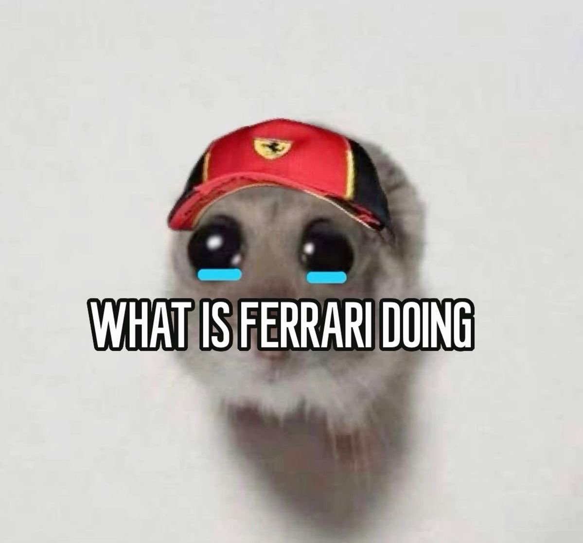 itssjannis tweet media