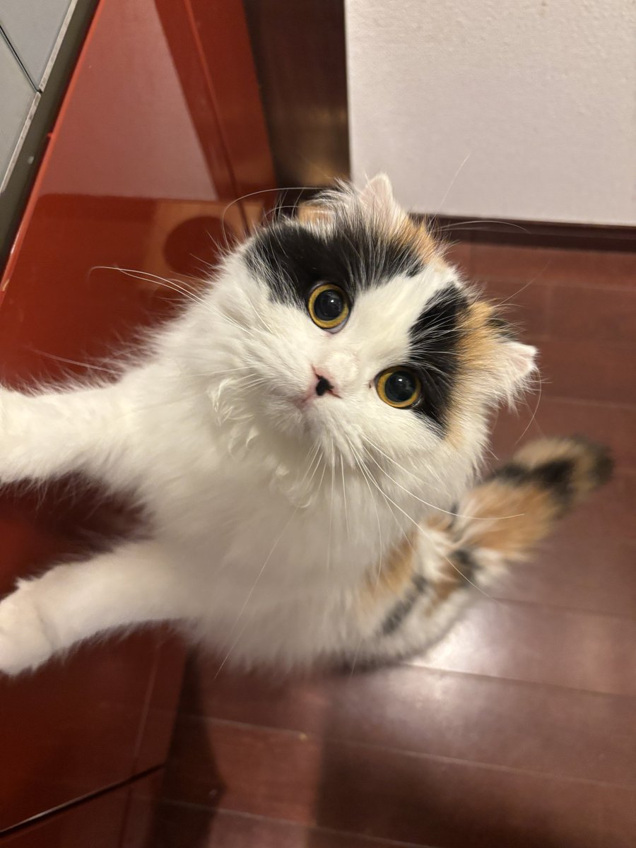 キムチ母‼️ tweet media