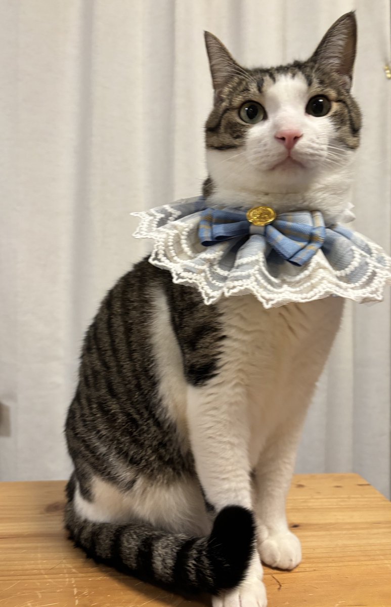 キムチ母‼️ tweet media