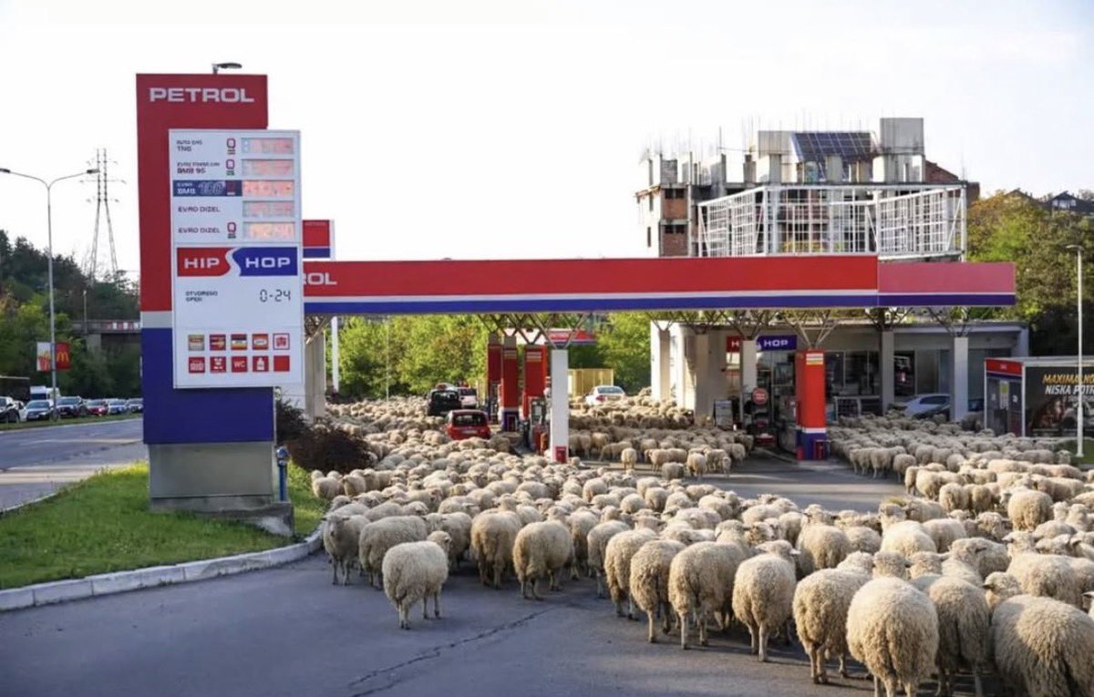 Axorion 😈 tweet media