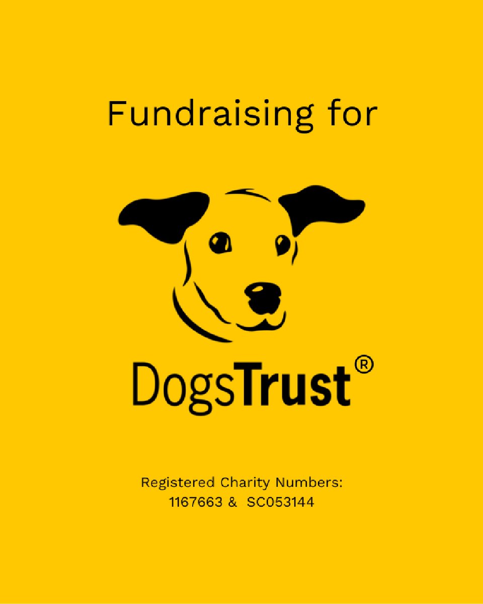 Innotech Digital tweet media