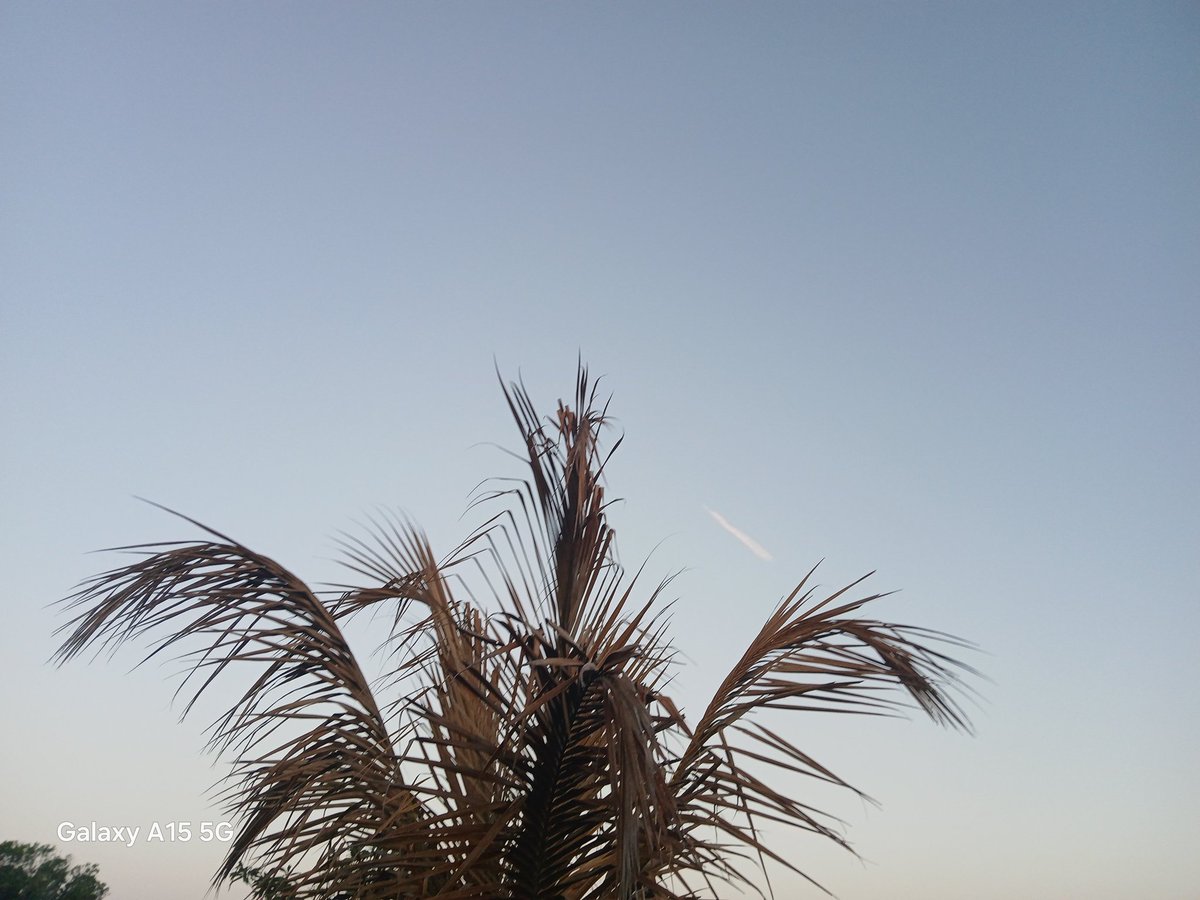 NICK BAZINET tweet media