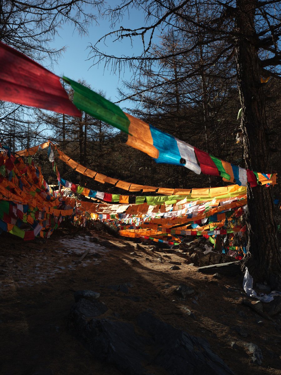 Paiito Landazurii tweet media