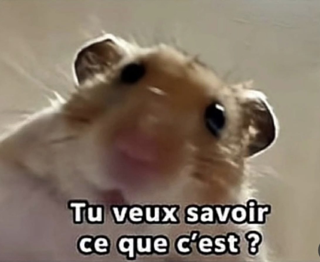 citationroudou3's tweet photo. *J'achète un cadeau secret à quelqu'un *

Moi au bout de 5 min : https://t.co/tfKNsoxcej