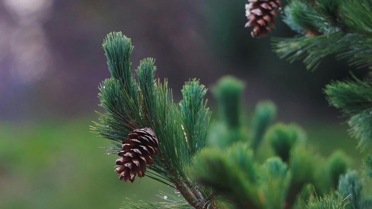 三岁小宝贝 tweet media