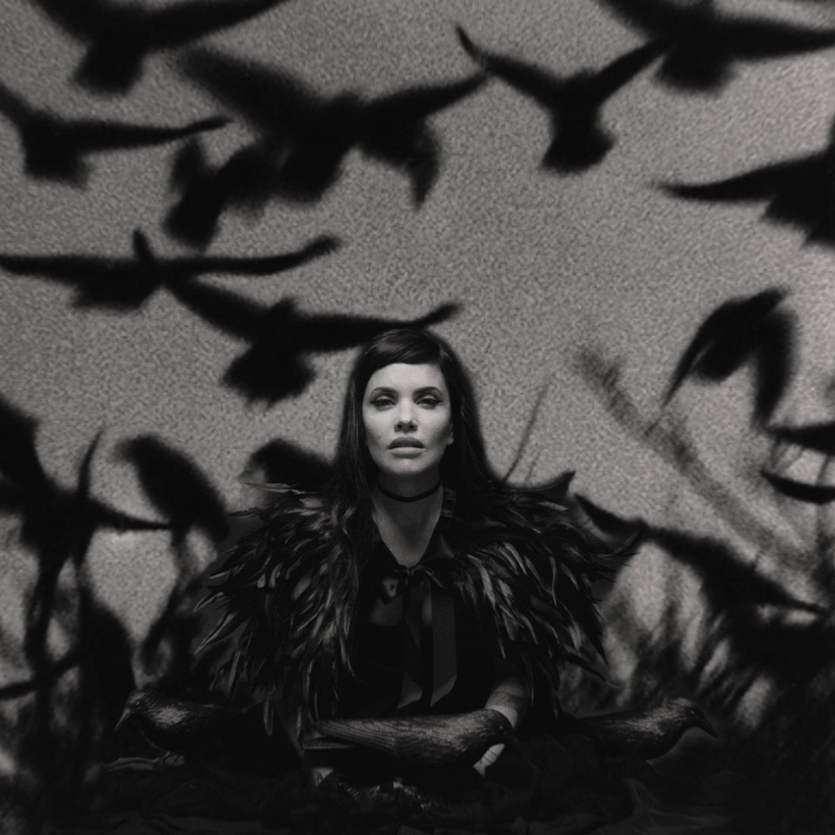 Brunetto / Bruno Garca tweet media