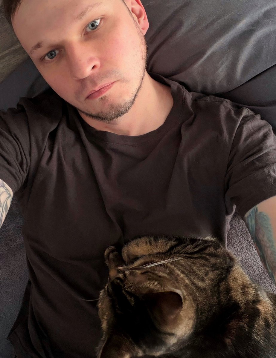 Кот Да Винчи tweet media