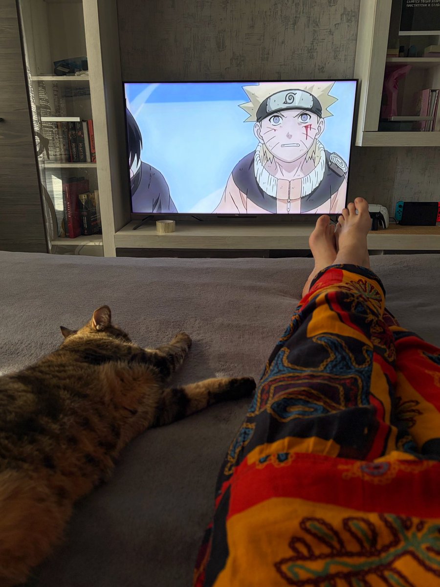 Кот Да Винчи tweet media