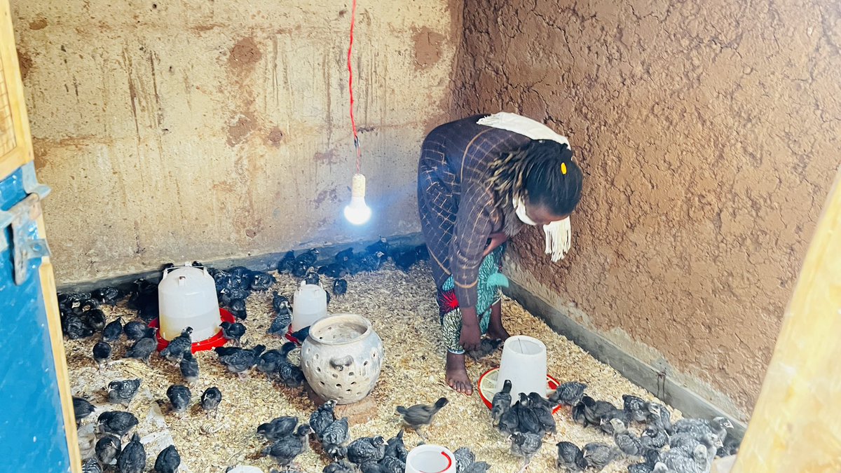 TheForeFrontMagazine tweet media