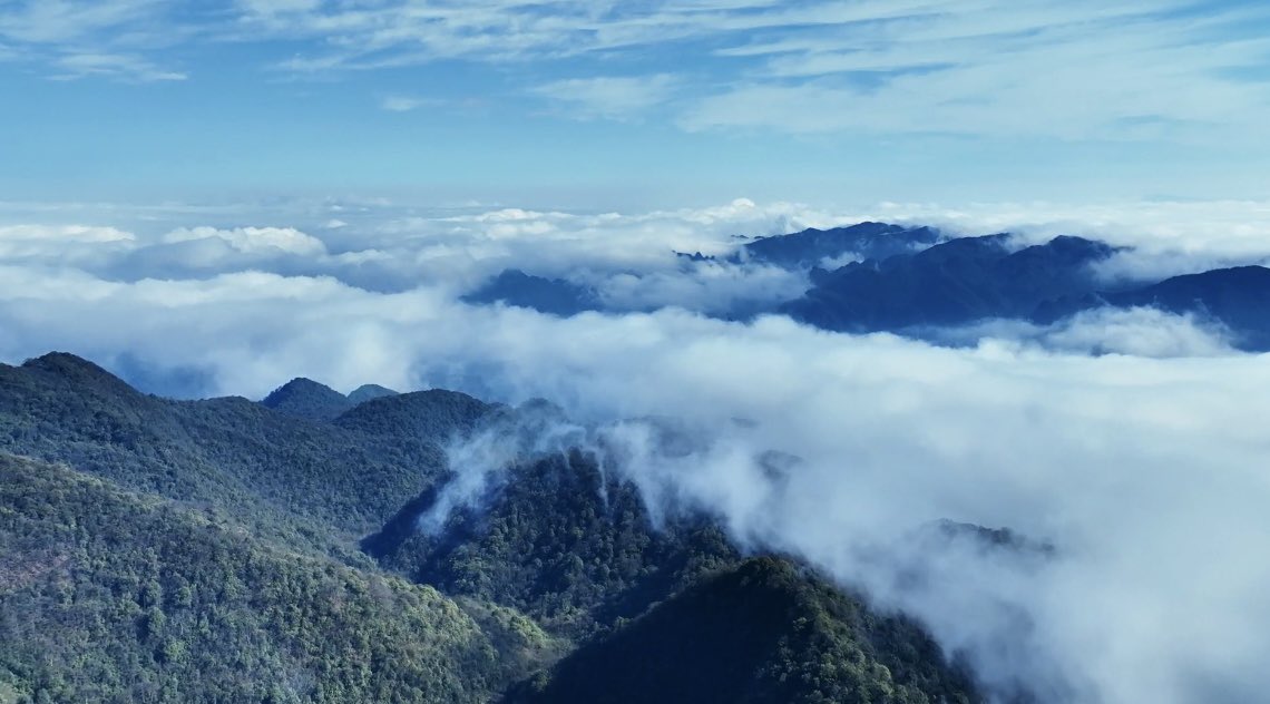 FunZunYi's tweet image. In spring, the broad expanse of Kuankuoshui National Nature Reserve in #guizhou, #china unfolds a vista of lush forests and rolling clouds, where the vibrant green pulse of the season brims with vitality. Let‘s step into this green realm
