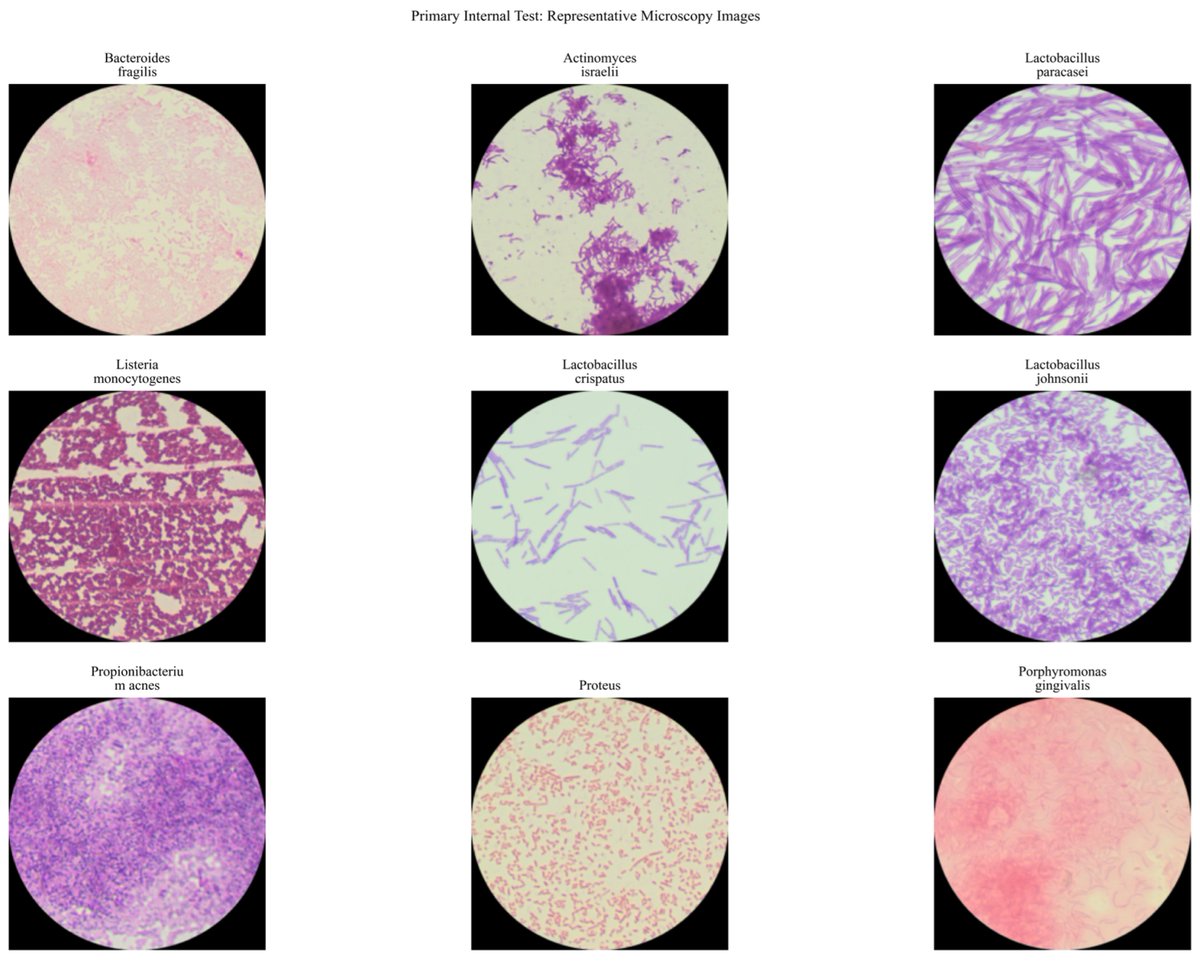 Computers tweet media