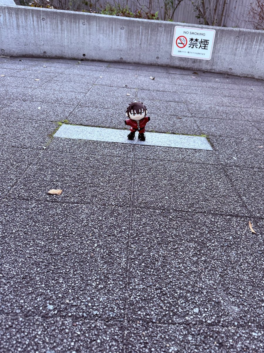 ᴵʸᵁᴹᴬ tweet media