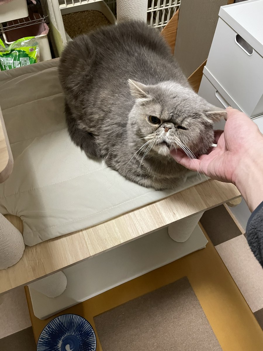 麻見和史 tweet media