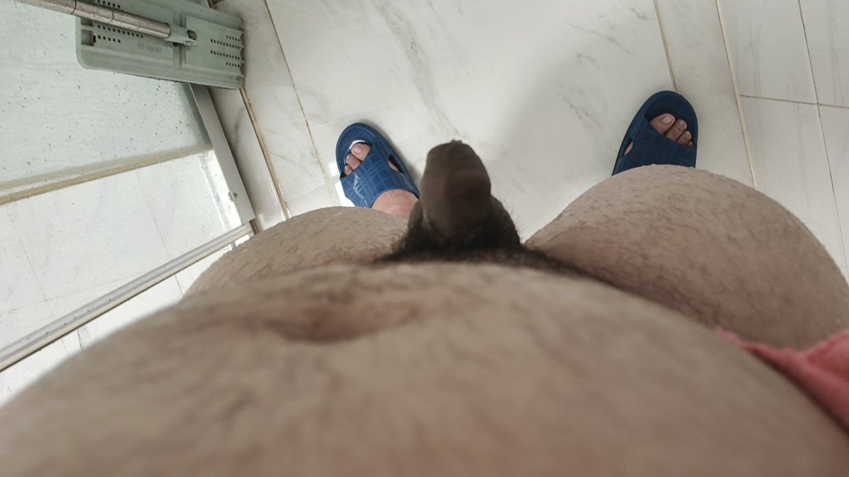 一只小柯基 tweet media