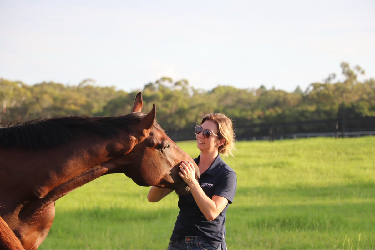 DPR Horsemanship tweet media