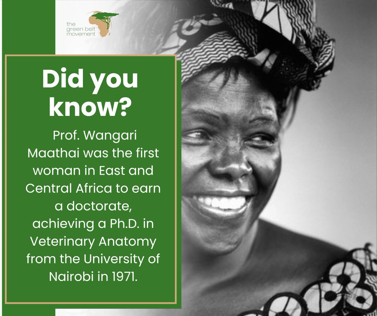 Green Belt Movement tweet media