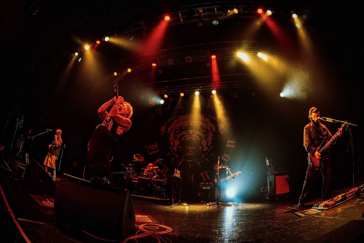 natalie_mu's tweet photo. ◤◢◤ライブレポート◢◤◢

Petit Brabancon
苛烈さを打ち出すライブハウスツアー開幕
“緩”を排除し攻撃性あらわに

⏬ソロカット含む写真16枚
https://t.co/XltR3UjFnu

#PetitBrabancon https://t.co/zzvqu8bDyE