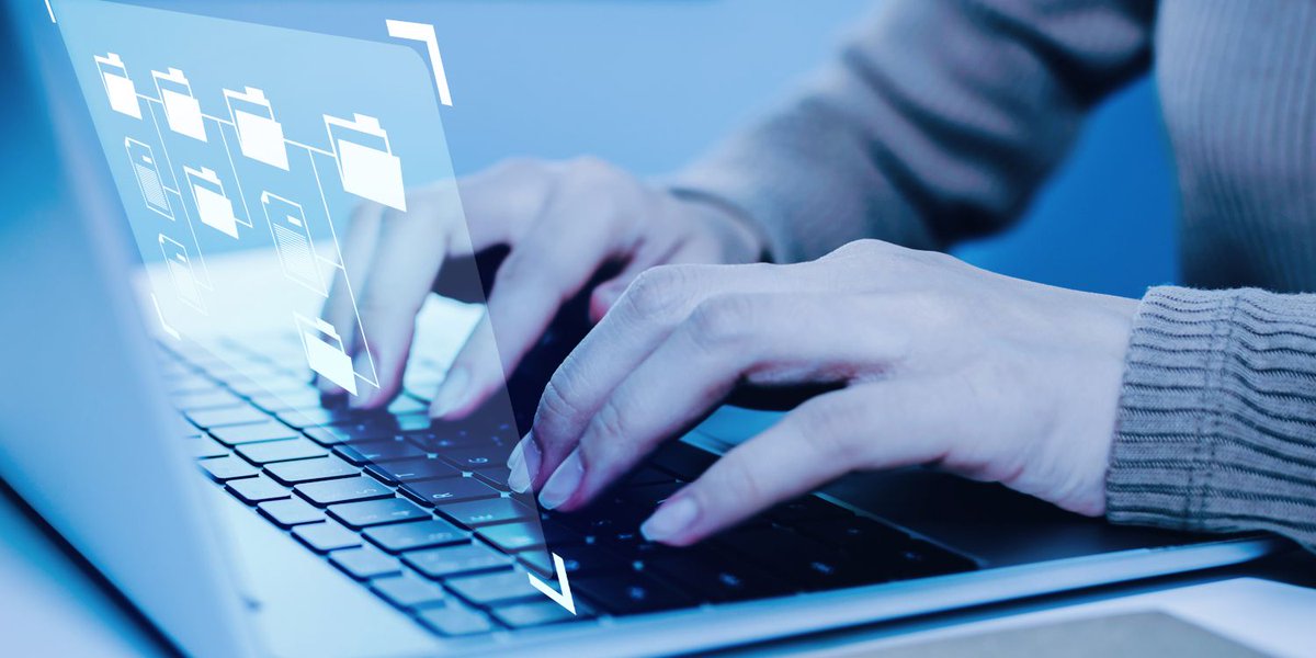 Normadat tweet media