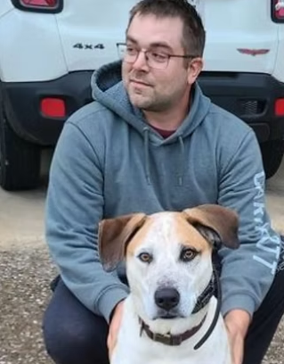 WorkingDogsForVets tweet media