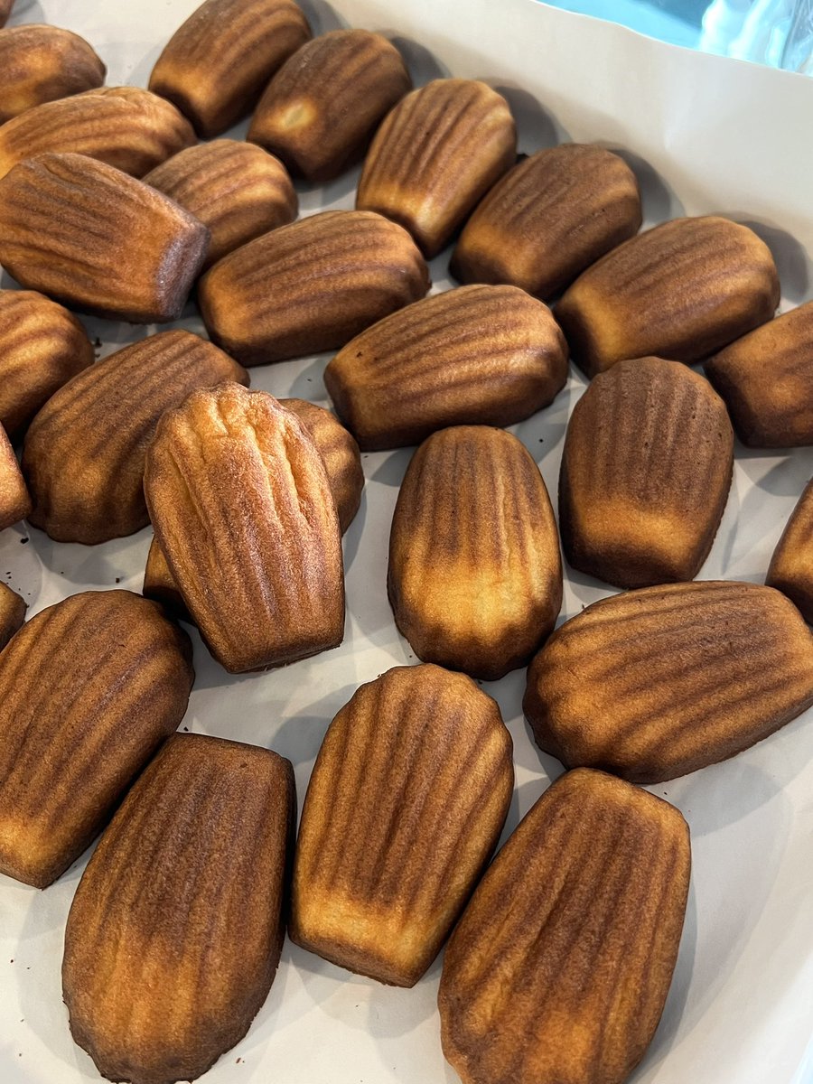 밥랭이 tweet media