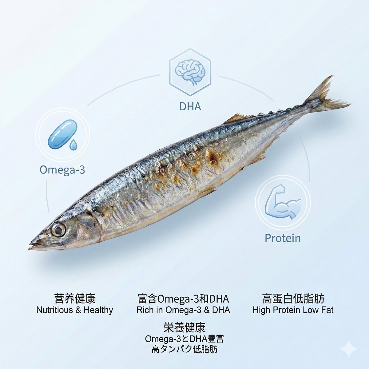 每年秋季，当第一缕秋风掠过北太平洋，成群的秋刀鱼开始向南洄游。这是大自然赐予日本列岛最珍贵的季节礼物——带着海洋气息的深蓝银鳞，肉质紧实鲜美，营养丰富。