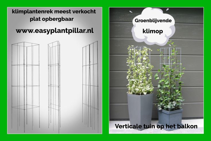 KlimplantenAmsterdam tweet media