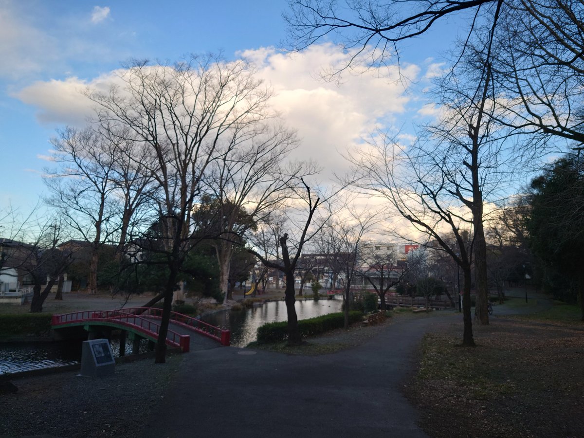 honjobudokan's tweet photo. 【若泉一帯の公園　サクラの開花状況】

若泉一帯の公園にあるサクラの開花状況をお知らせいたします。写真は順番に

・若泉第一公園
・若泉第二公園
・若泉運動公園

となります。サクラはまだ蕾のままです。
 次回は3月17日（火）更新予定です。
（状況により更新頻度が増減することがあります。） https://t.co/qeyMd7GrEb