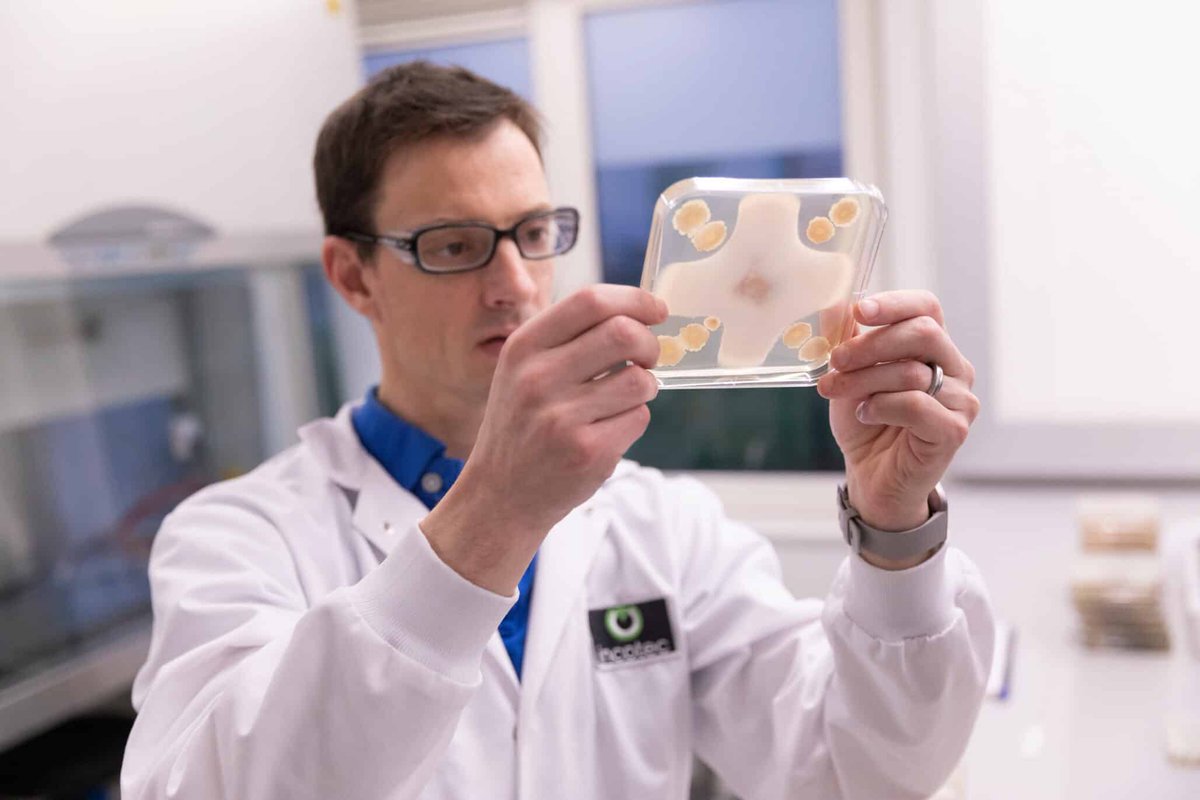 Seed World Europe tweet media