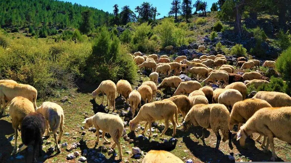 @Interovic tweet media