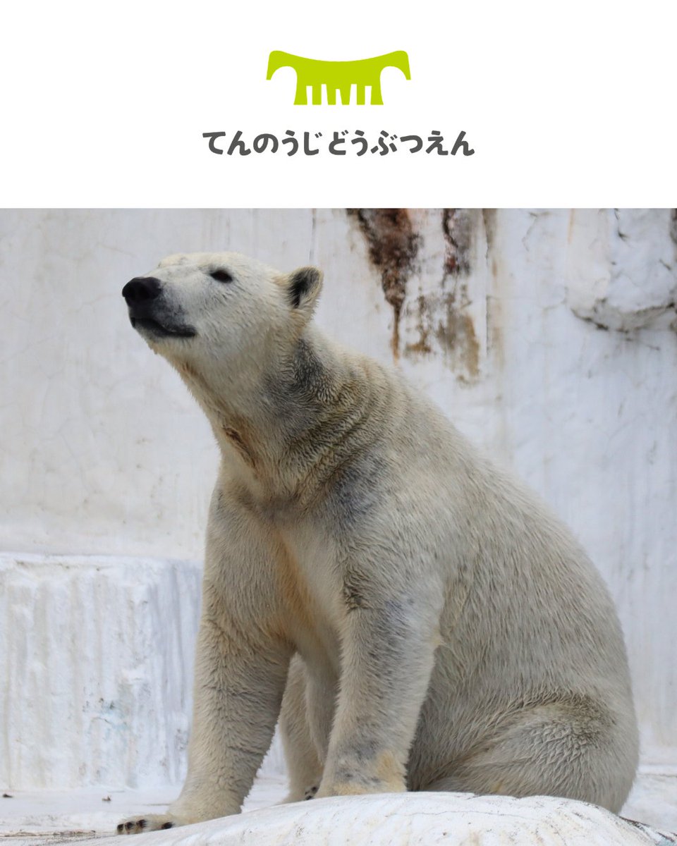 レゴランド・ディスカバリー・センター大阪【公式】 tweet media