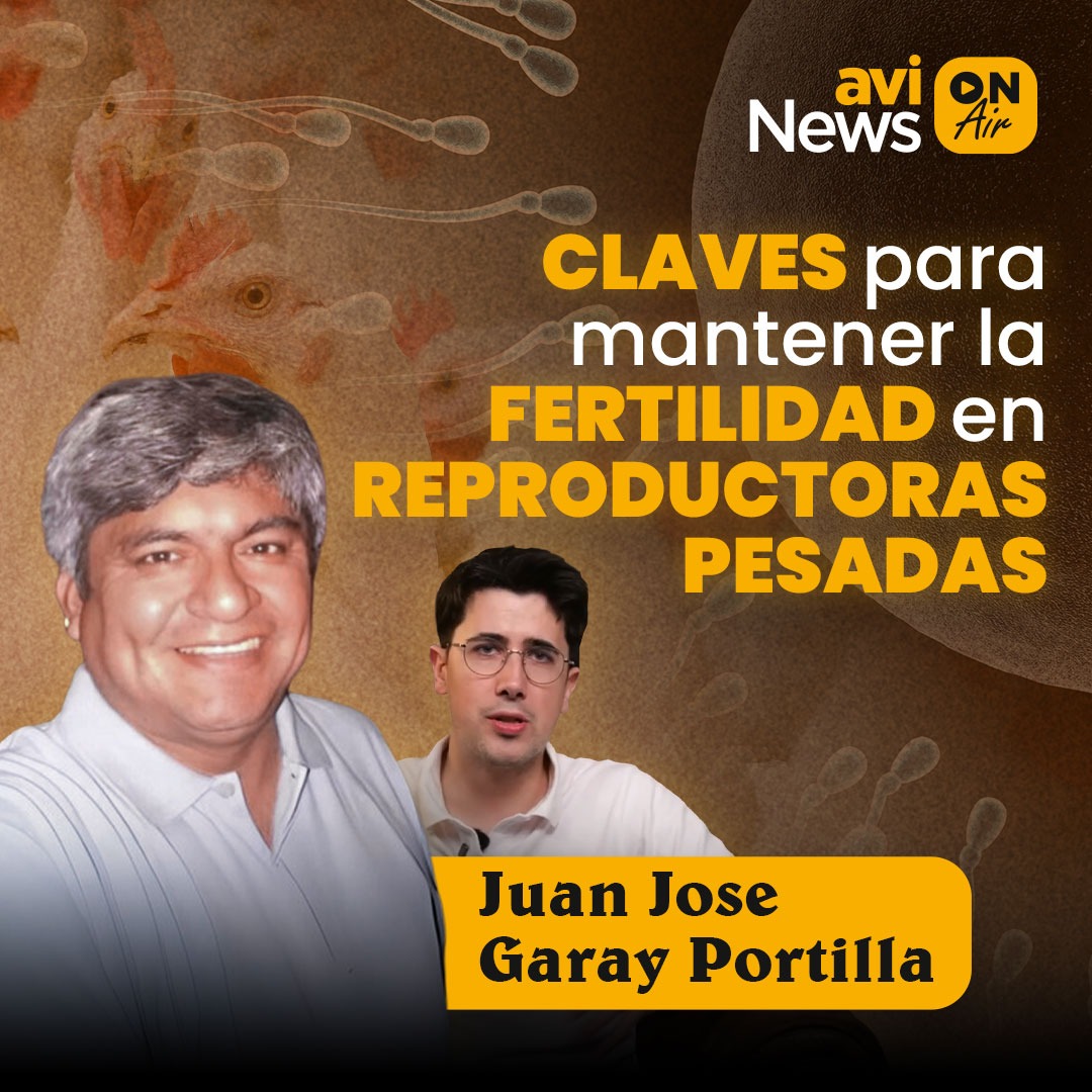aviNews España - Revista tweet media