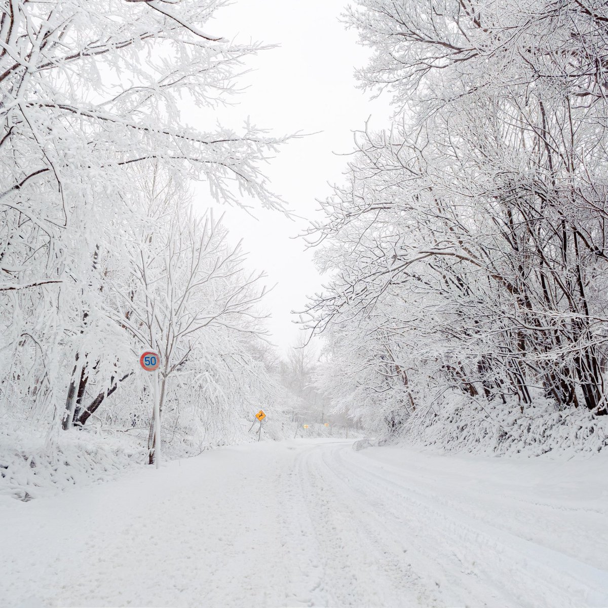 MitchyP's tweet photo. 或る日の通勤路
見渡す限り真っ白😅
#北海道
#室蘭市
#銀世界
#雪景色
#snowscene
#Snowflake https://t.co/YXvwRgilzj