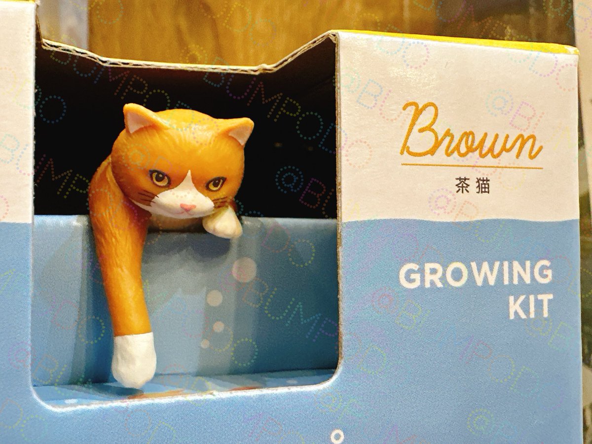 文房堂(ぶんぽうどう)｜画材・文具・雑貨｜神田神保町 tweet media