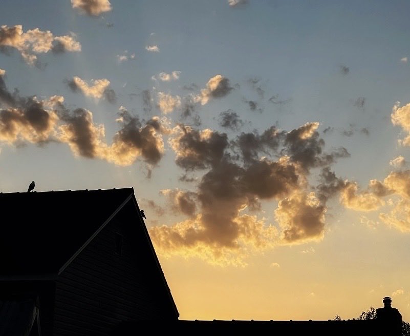 Wazza from Melbourne tweet media