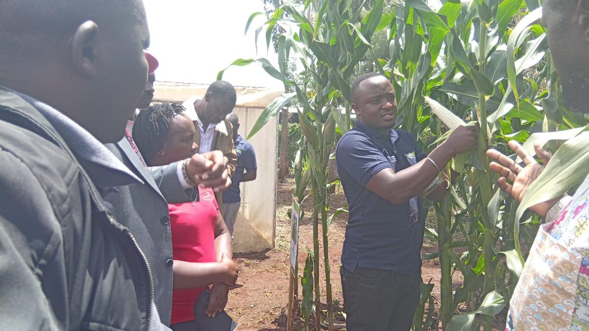 STAKenya's tweet photo. 👏 Shout-out to our exhibitors at the STAK Meru Field Day (6/03/2026)! 🌾 Your innovations and hands-on demos inspired farmers and shared practical knowledge that drives agriculture forward. @cerealgrowerske @CropLifeKenya @AFSTA_Seed https://t.co/BQ6IeJ0mB8