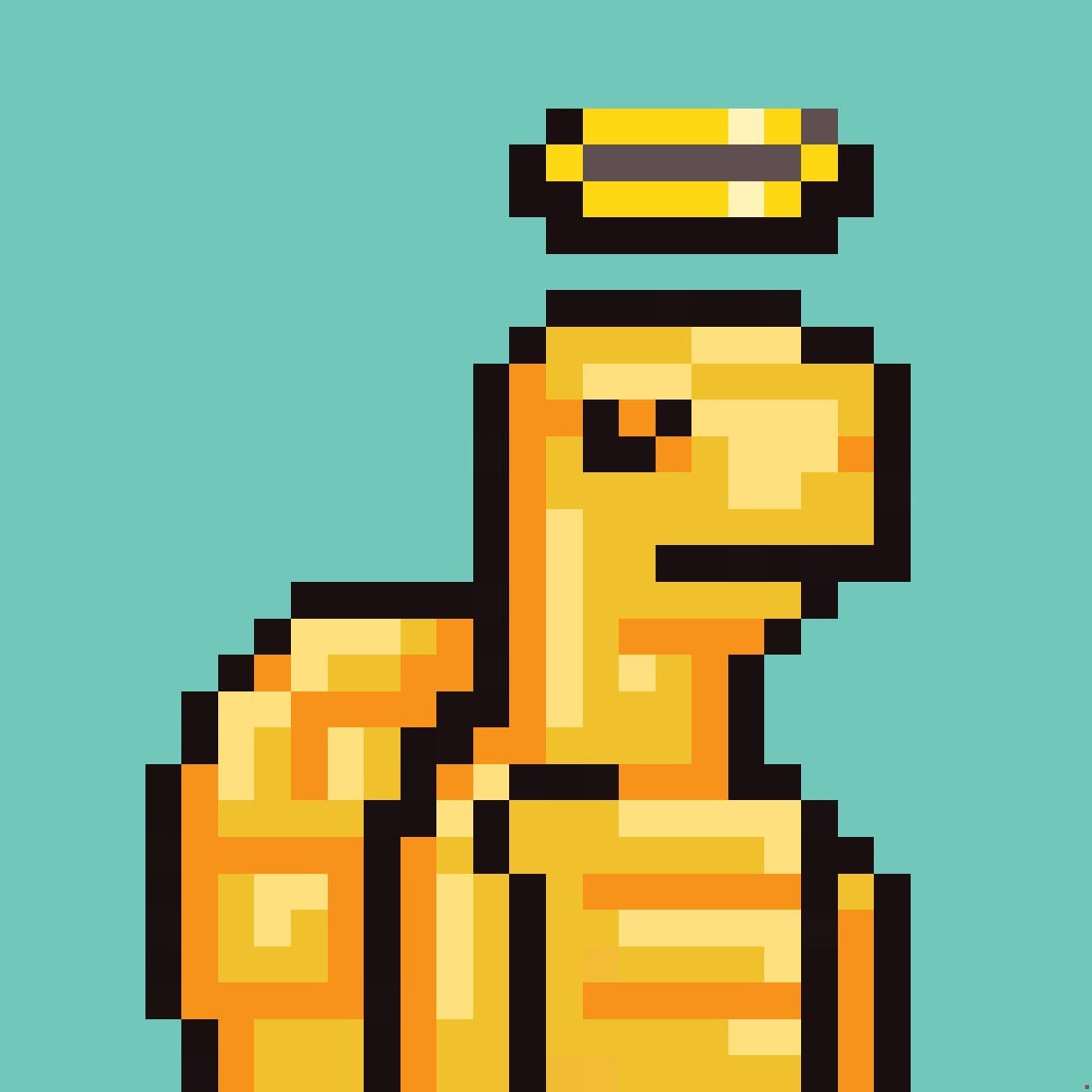 Bitcoin the Turtle NFT Collection tweet media