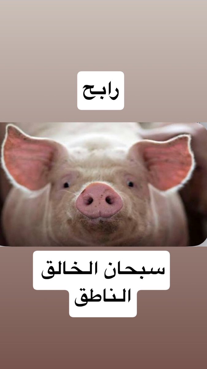 7_frawi's tweet photo. @ColAleneziRabih https://t.co/YQvggmodl3