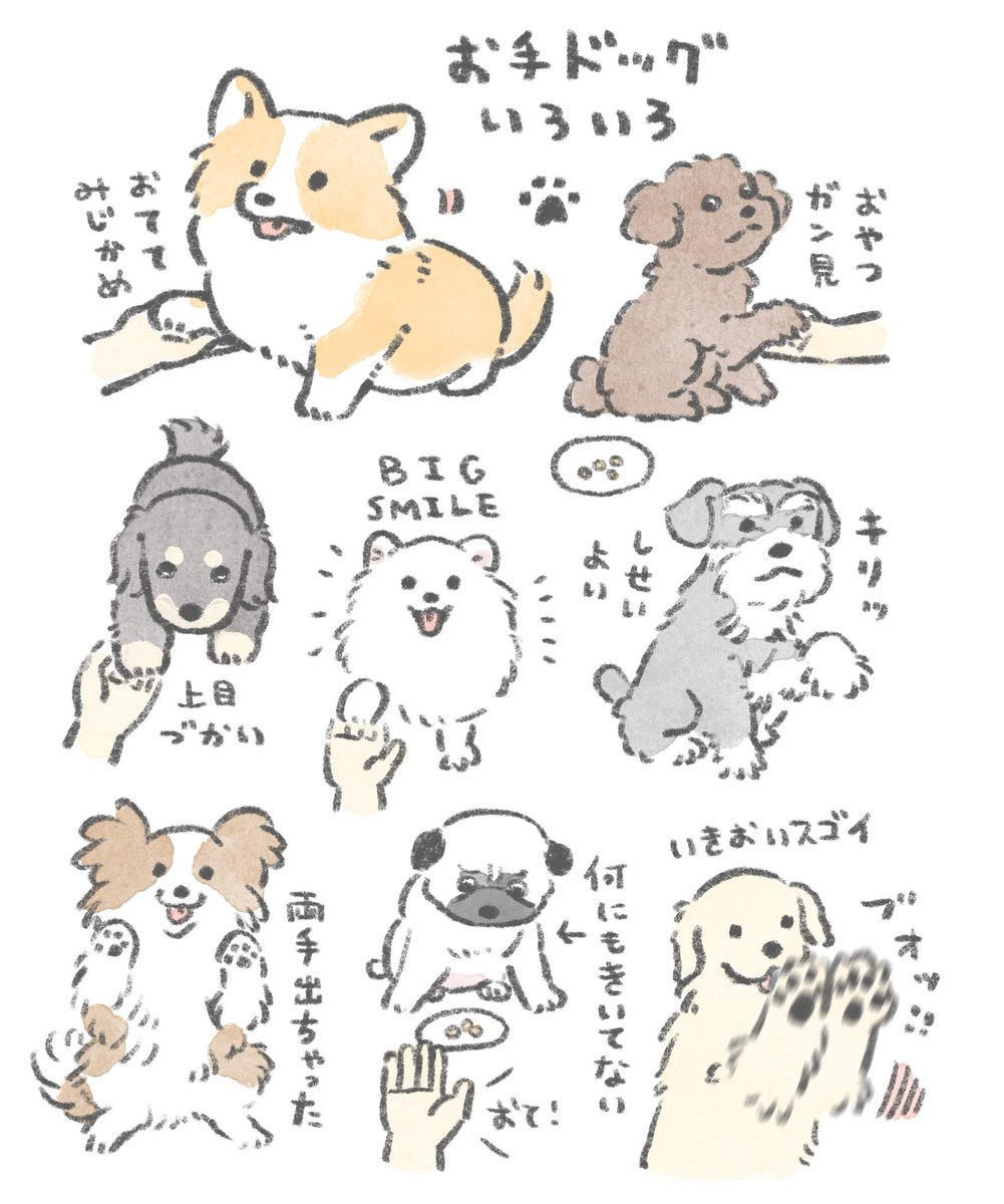 じゅん　【デザフェス両日A-8.9.10】 tweet media