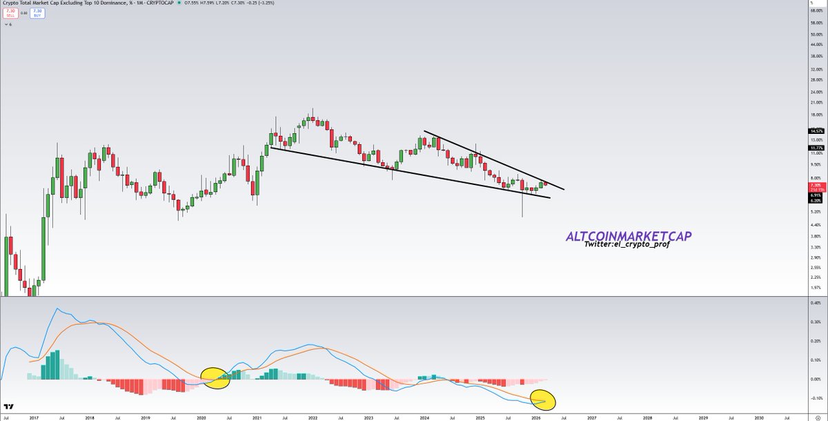 𝕄𝕠𝕦𝕤𝕥𝕒𝕔ⓗ𝕖 🧲 tweet media