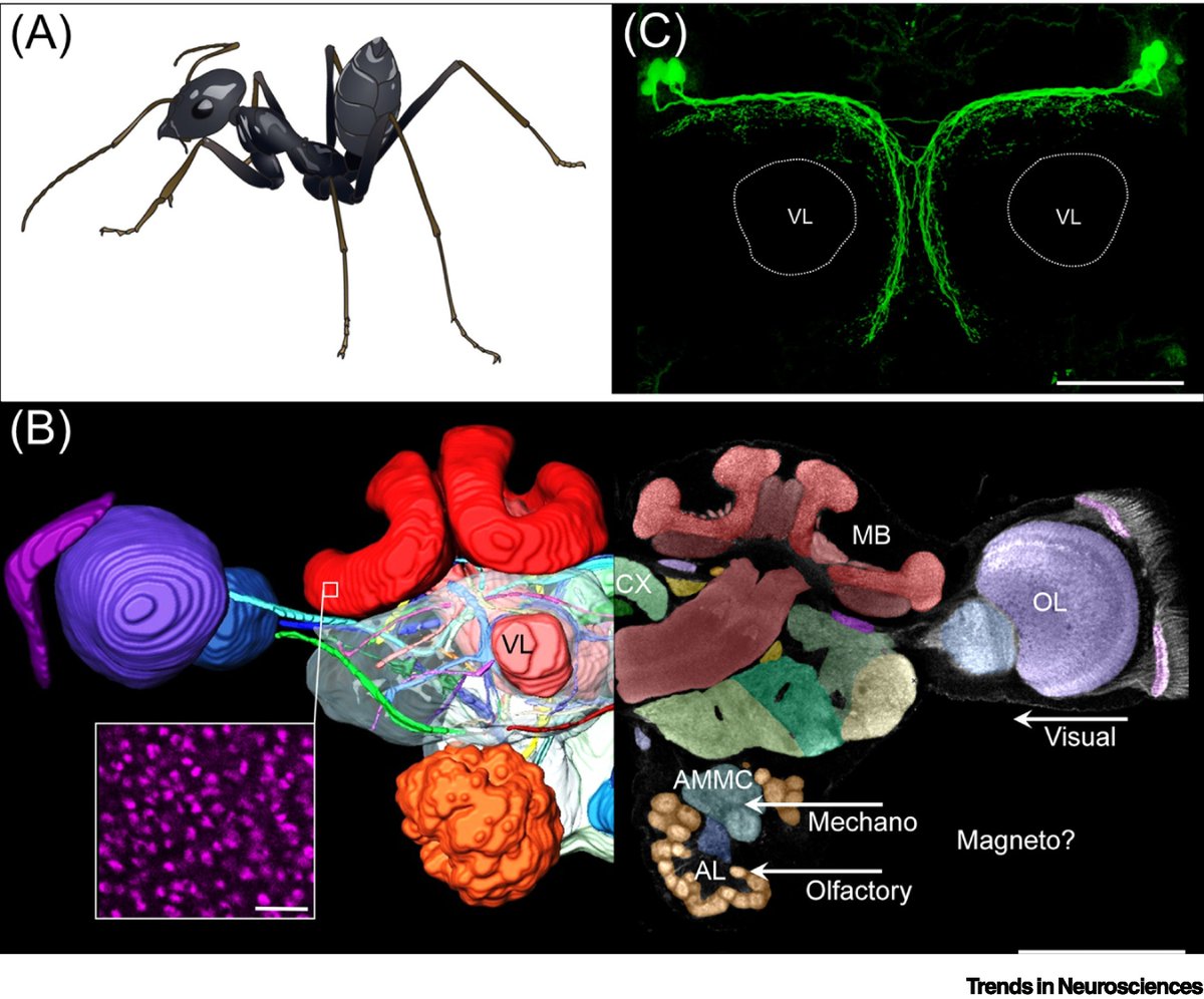 Jun-Ho Kim tweet media