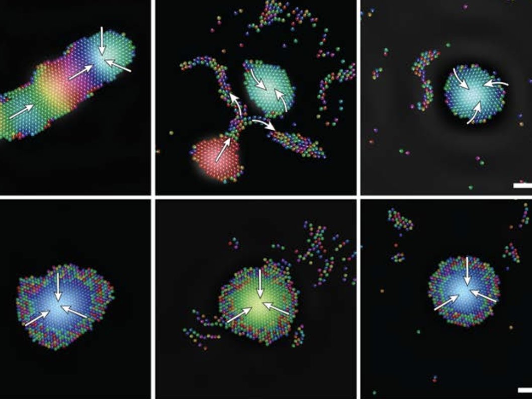 Jun-Ho Kim tweet media