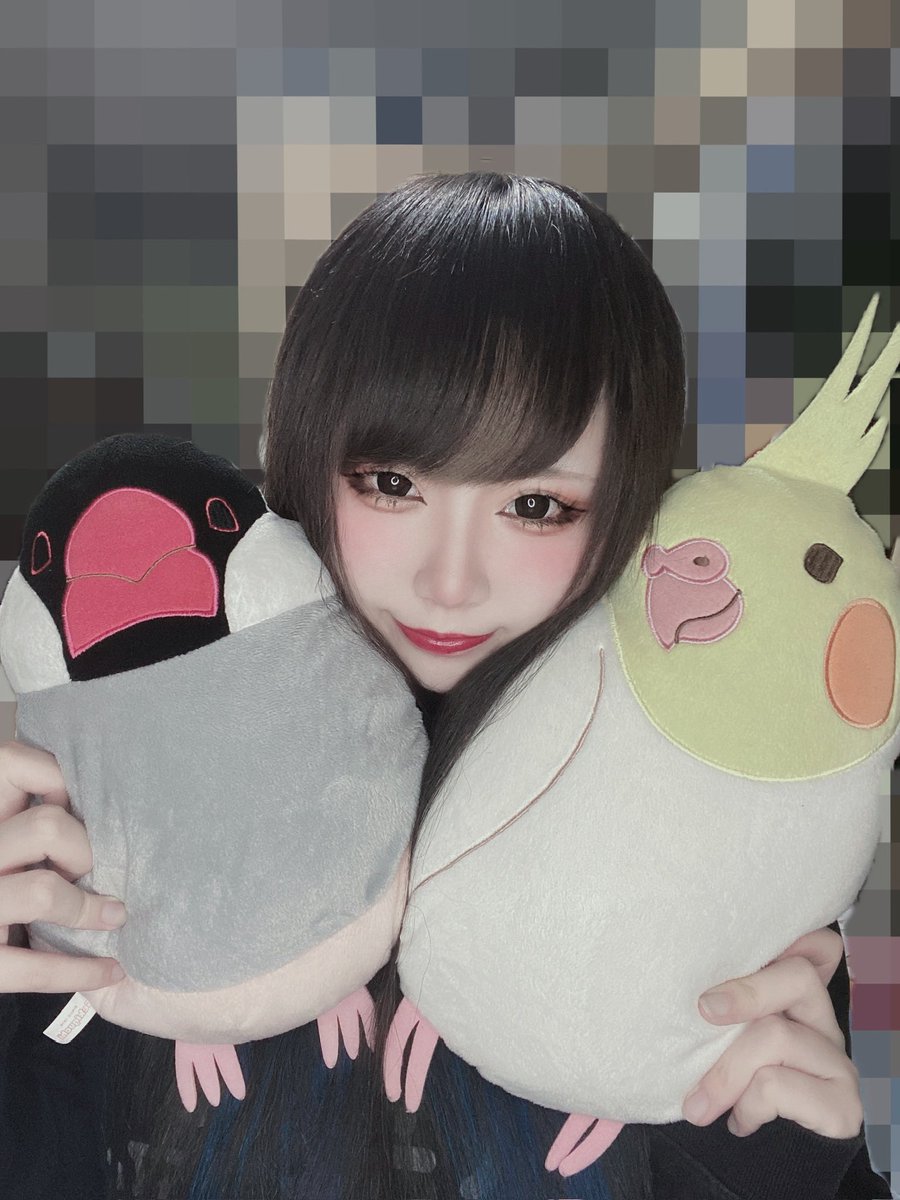 チャンニダ💭💗 tweet media